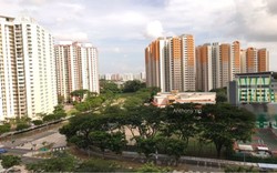 Blk 441B Fernvale Road (Sengkang), HDB 3 Rooms #208193871